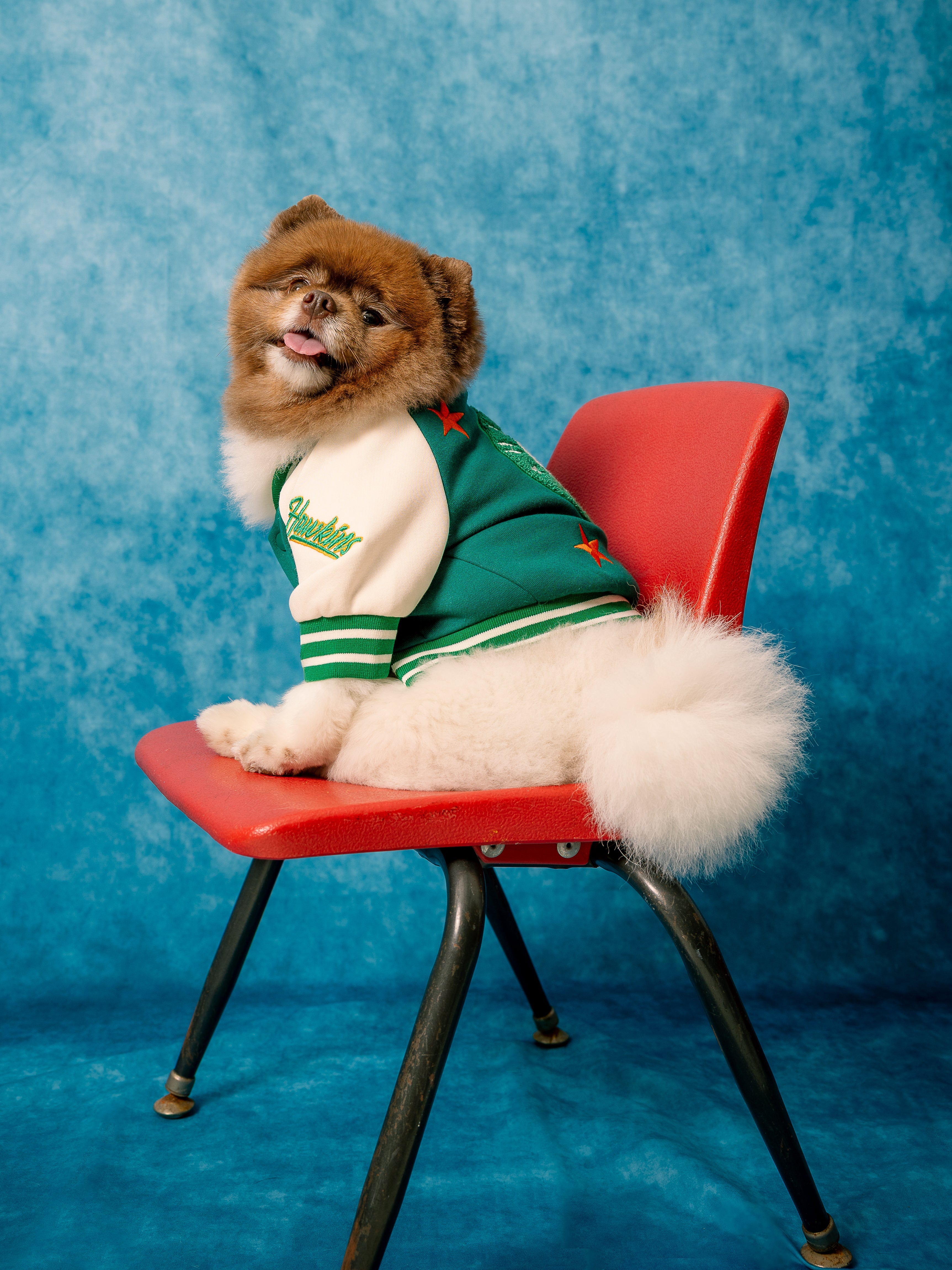 Varsity Bomberjack