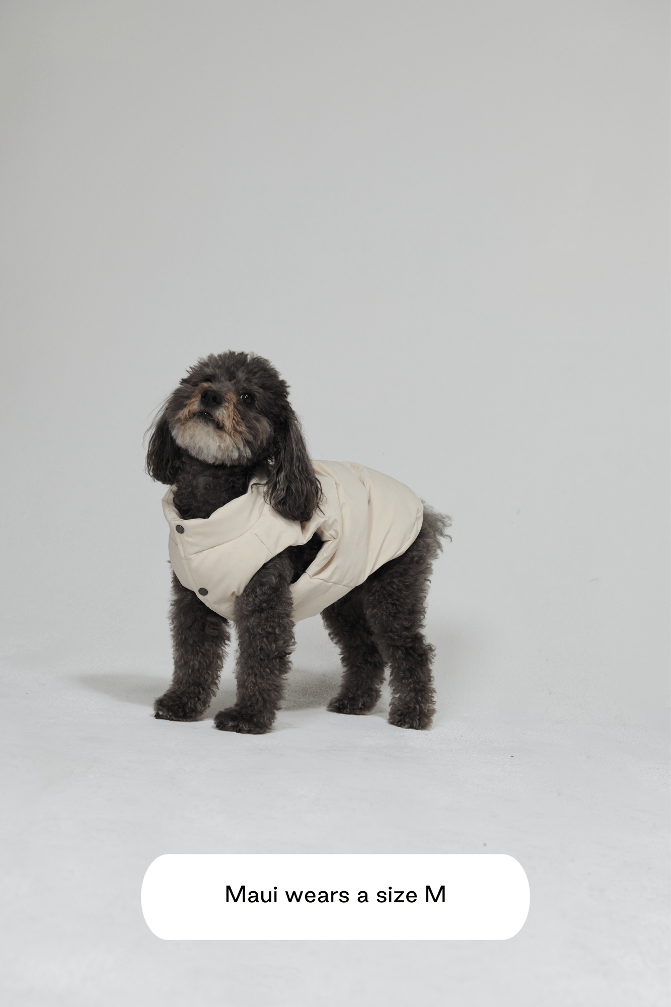 Puffer Vest