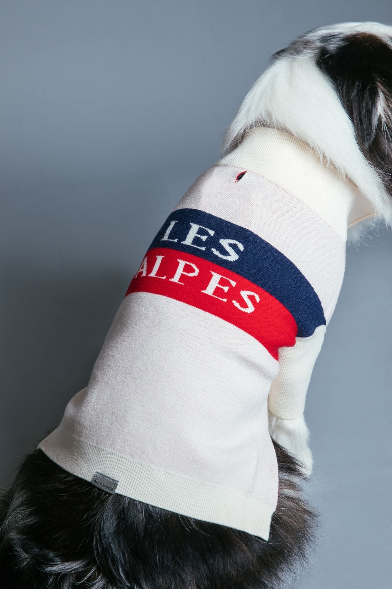 Alpes Trui