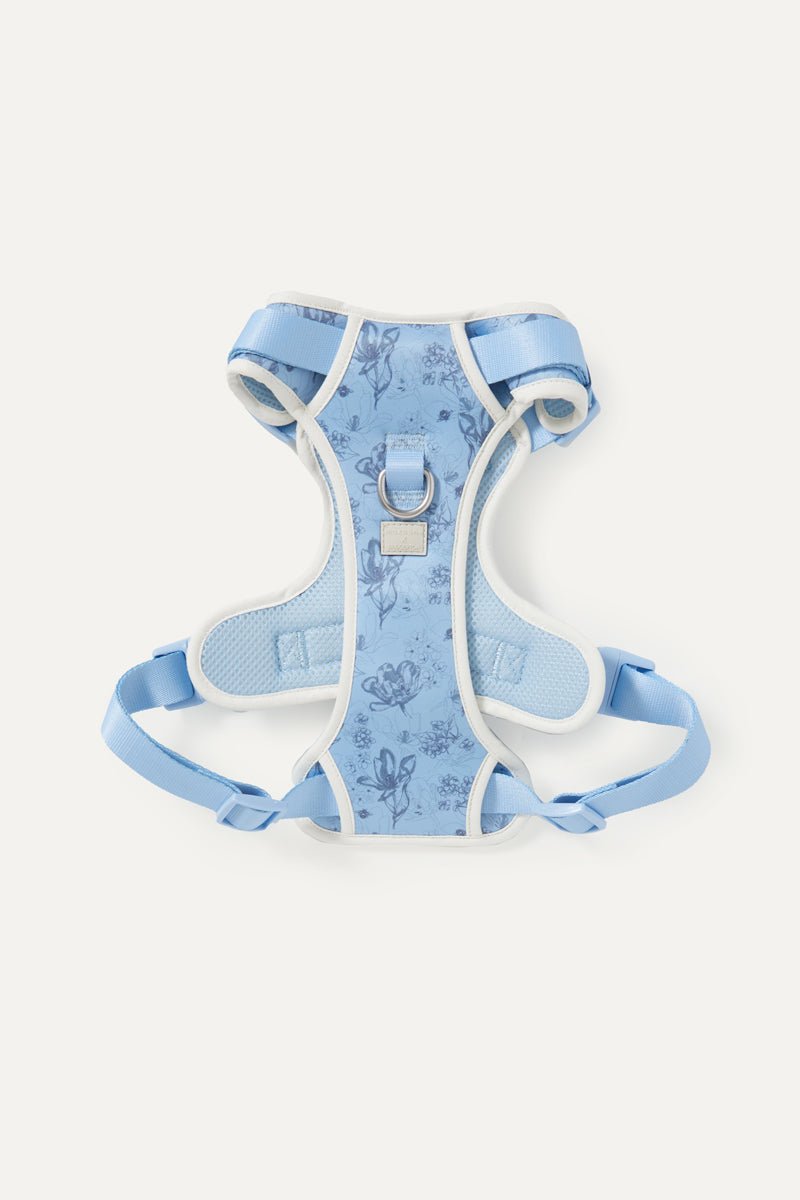 Luxe Hondenriem Set