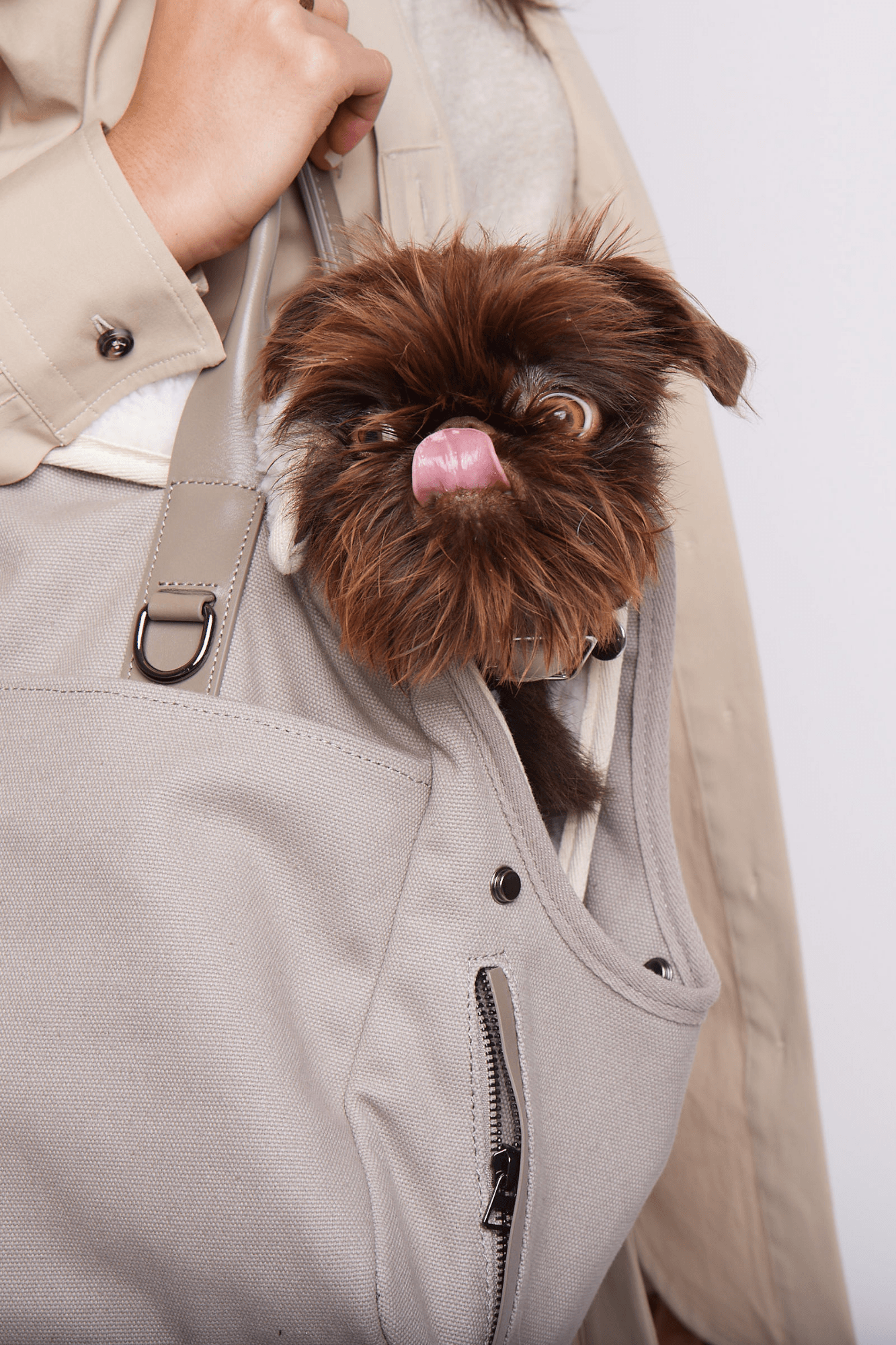 Stadse draagtas voor honden